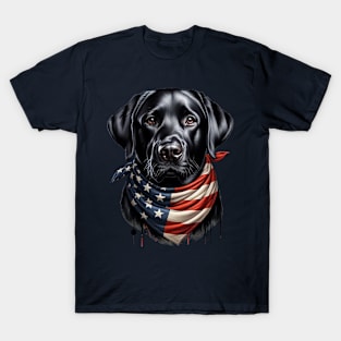 Labrador t shirt for dogs sale